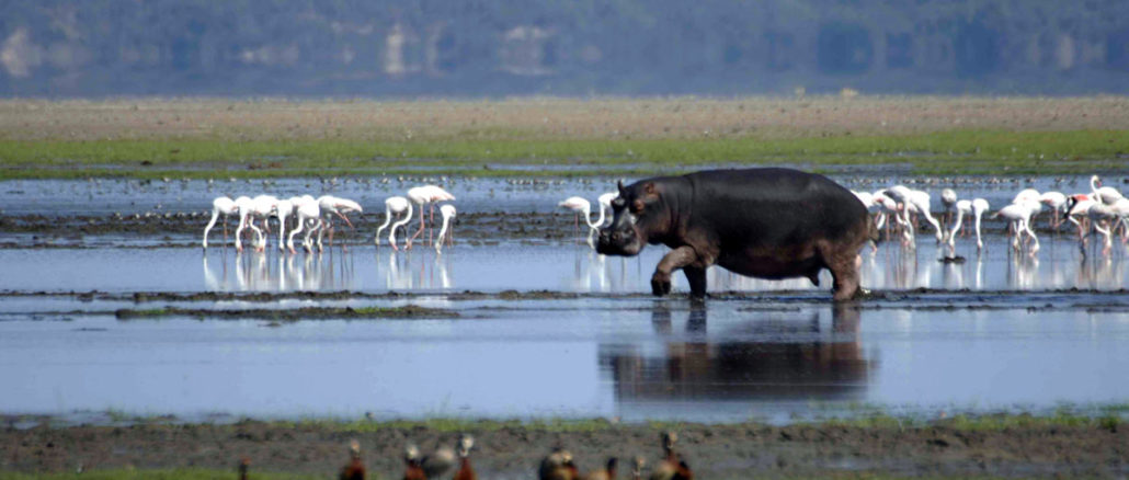 Parque del Humedal de Isimangaliso
