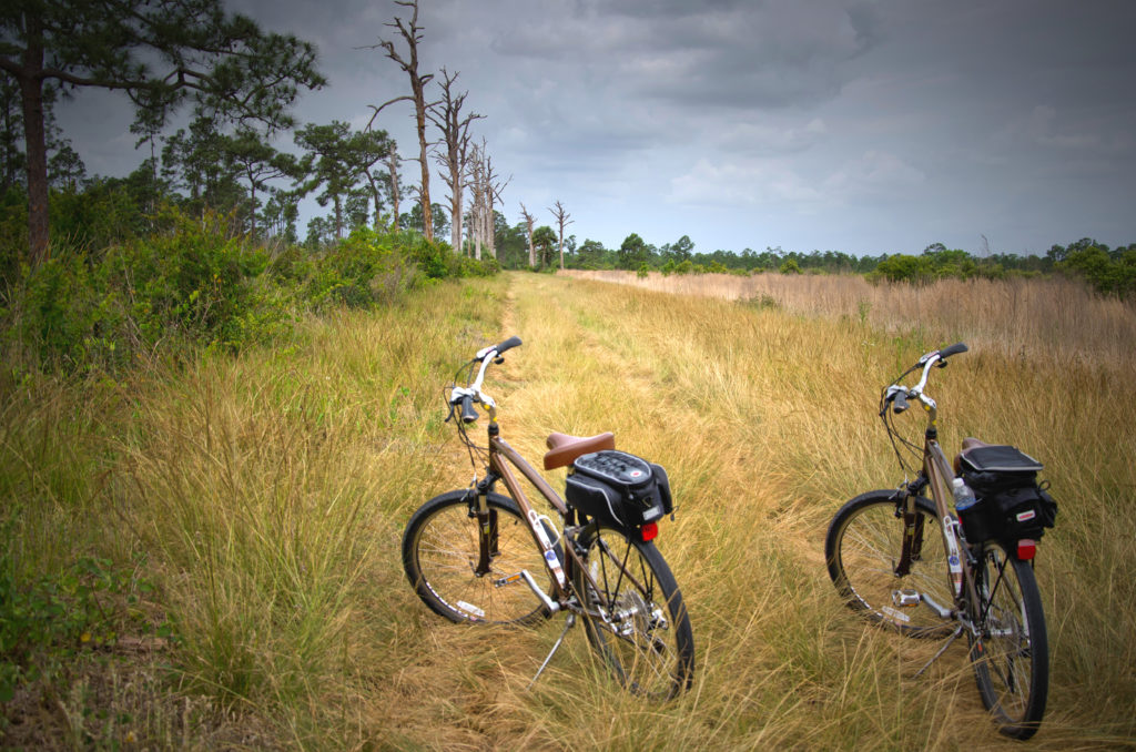 nature woods bikes bicycles trails fields 1425623 pxhere.com 1