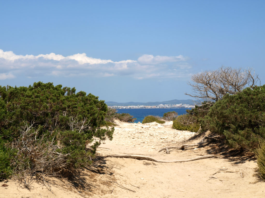 Ibiza Platja Des Cavallet panoramio 1