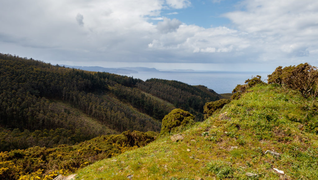 Monte Purrido (Galicia)