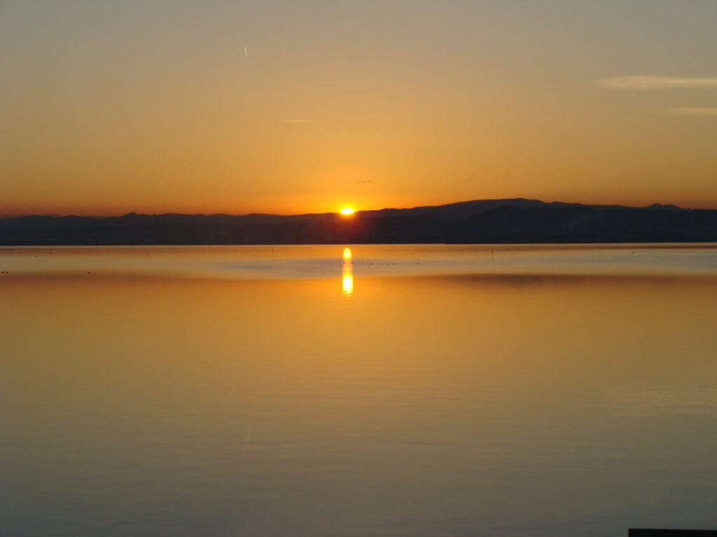 Atardecer en la Albufera 2