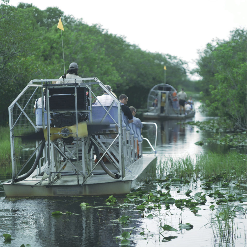 Paseos en hidrodeslizador por los Everglades