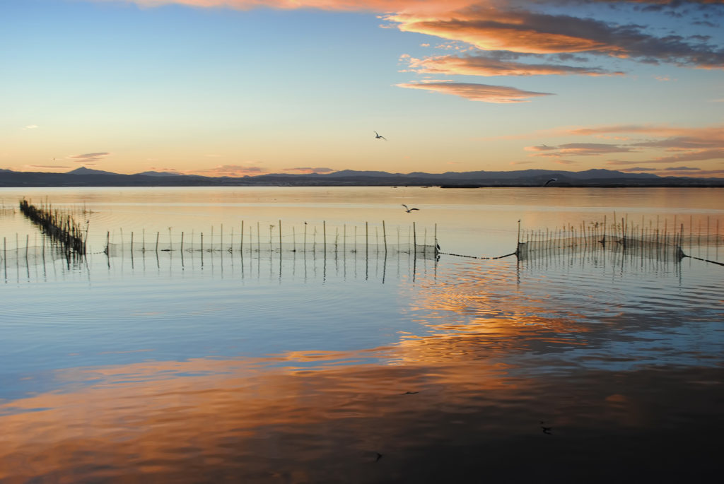 La Albufera de Valencia