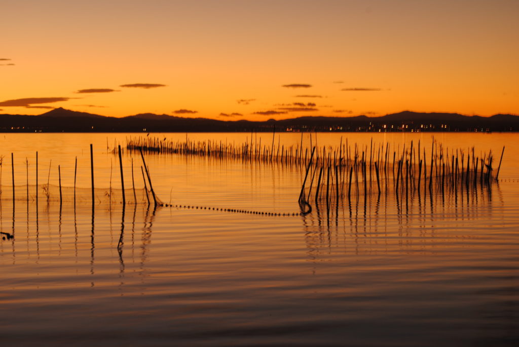 PARQUE NATURAL DE L´ALBUFERA VALENCIA ESPAÑA