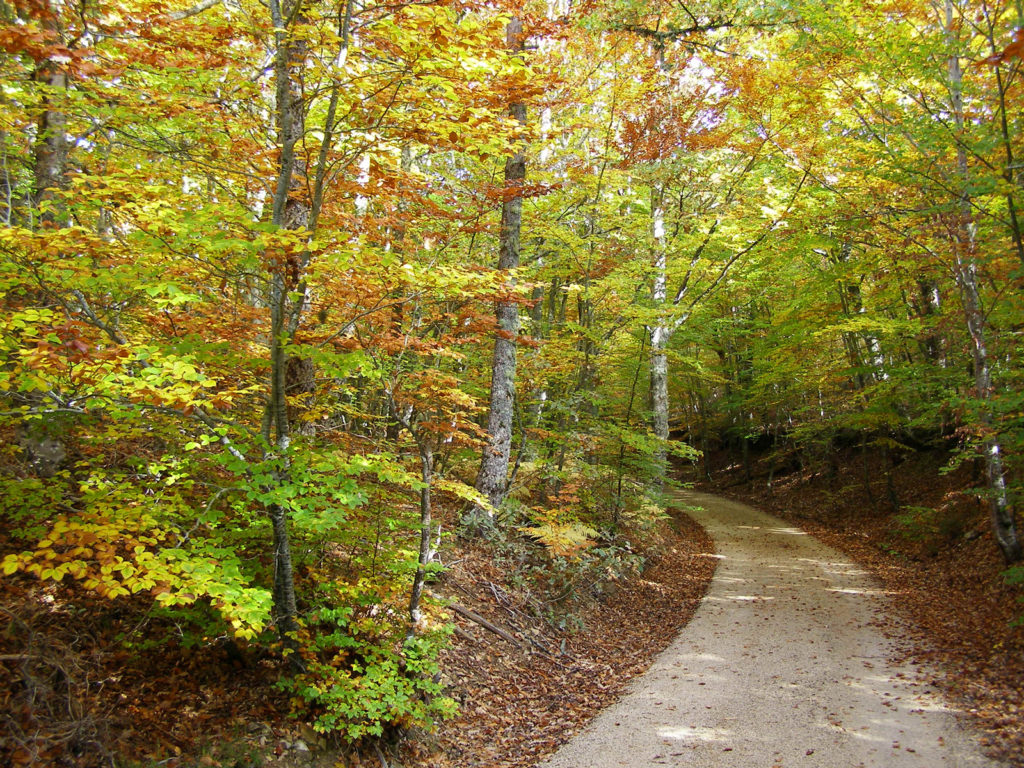 Sierra de la Demanda, Burgos