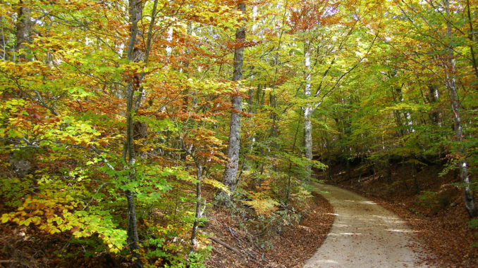 Sierra de la Demanda, Burgos