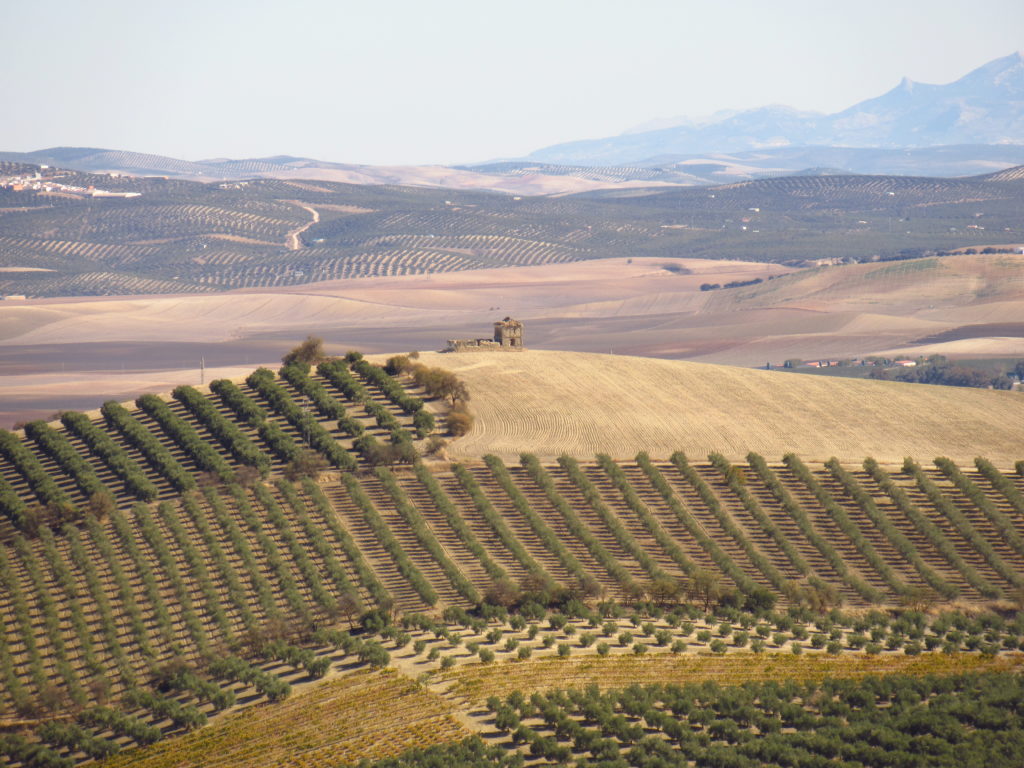 Montemayor (Córdoba)