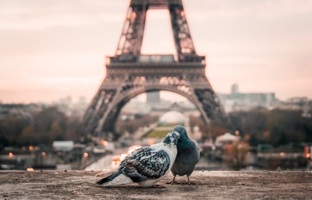 Torre Eiffel (París, Francia)