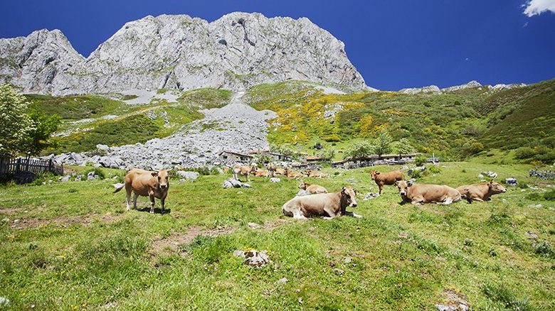 Pico Torres (Asturias)