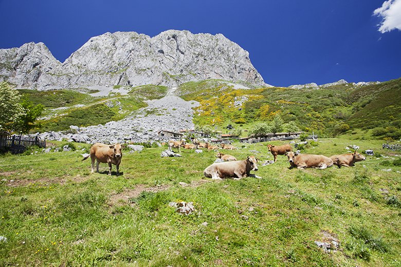 Pico Torres (Asturias)