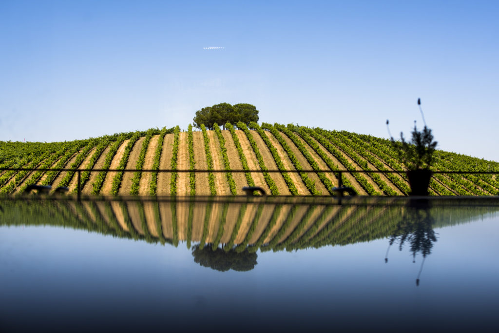 Paisaje Alentejo