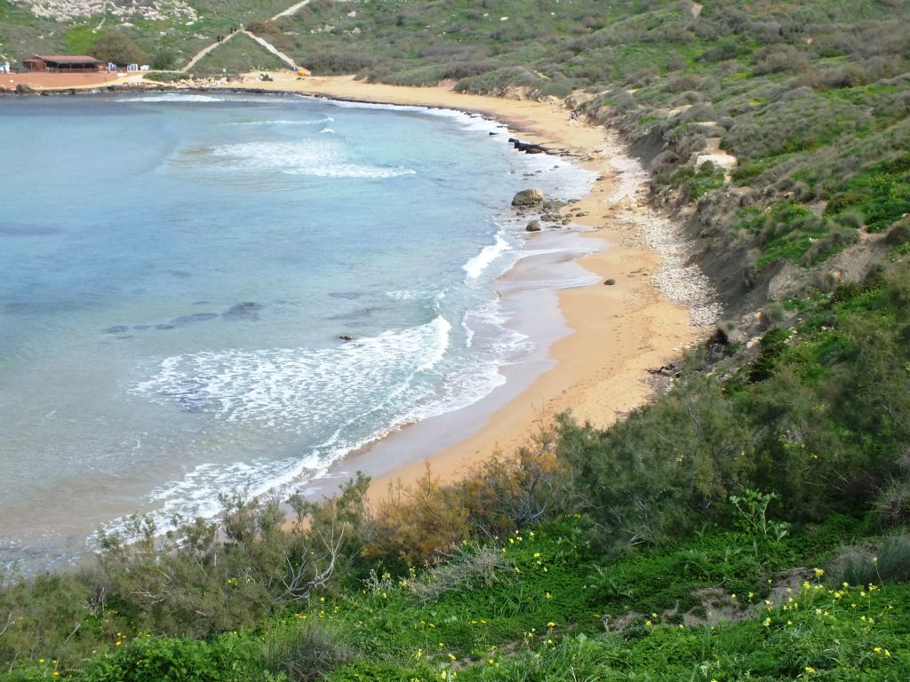 Ghajn Tuffieha Bay 13