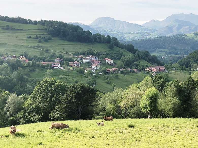 Teleña (Picos de Europa, Asturias)