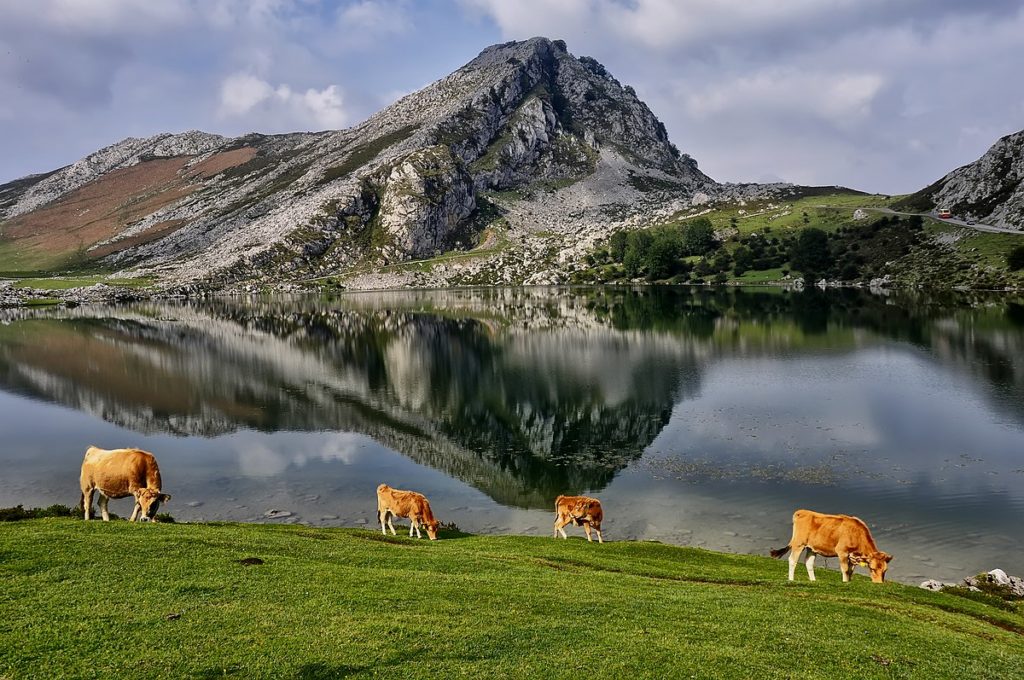 Lagos de Covadonga