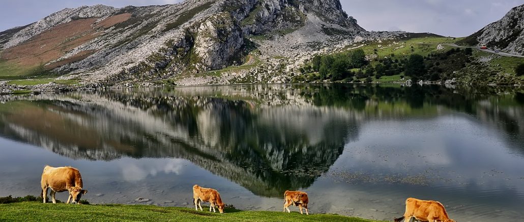 Lagos de Covadonga