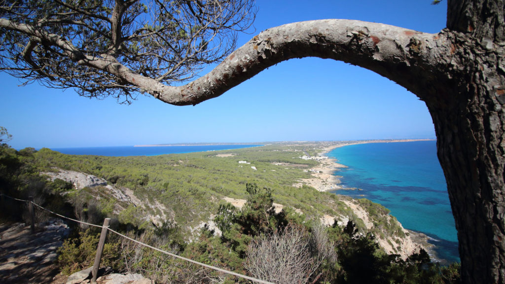 experiencia formentera recorre las rutas verdes de formentera img1