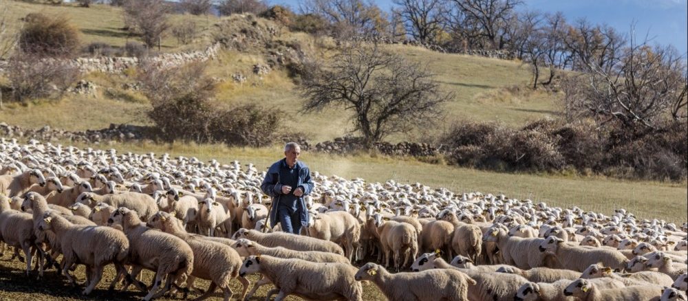 El Cinquè Llac (Lleida, Pirineo catalán)