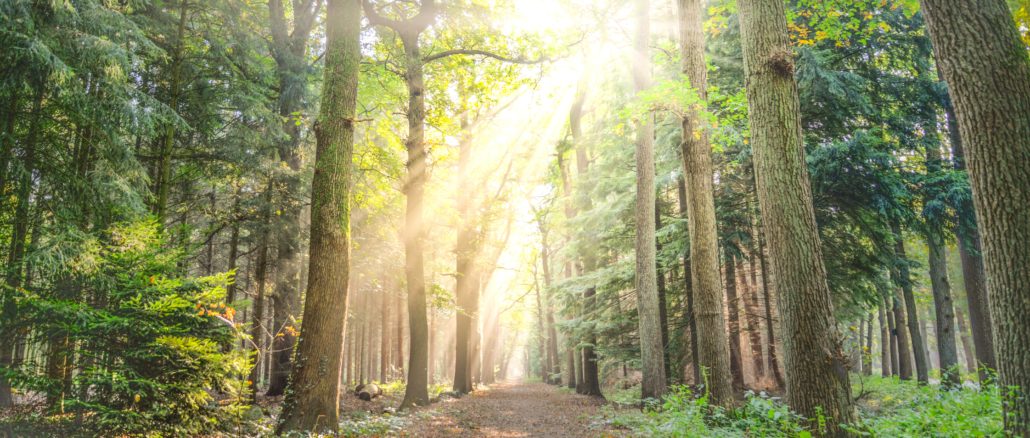 Paisajes de El Camino de Santiago