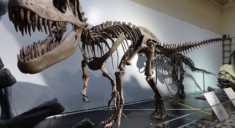 Museo de las Ciencias