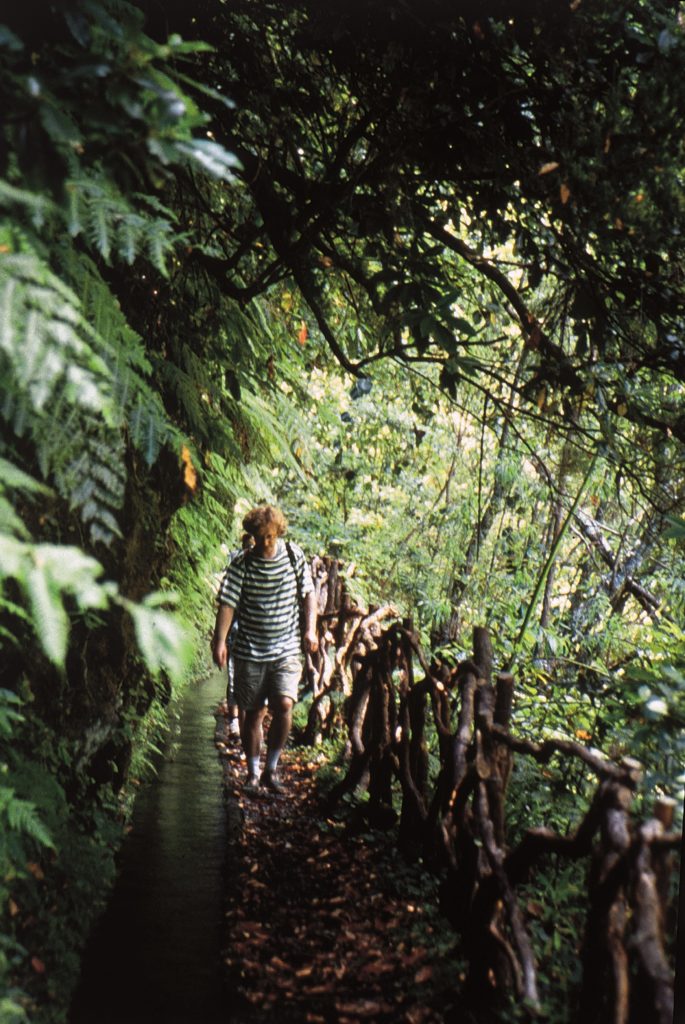 Vereda da IlhaA©VisitMadeira 1