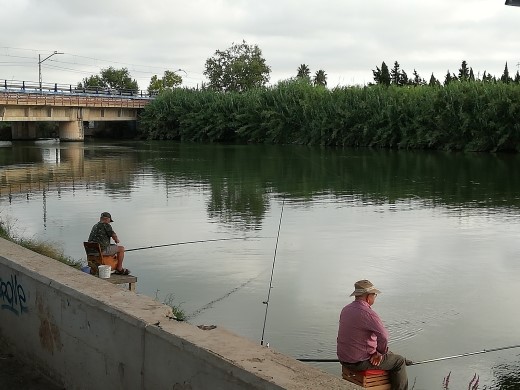 Pescadores en el río Xúquer (Cullera, Valencia)
