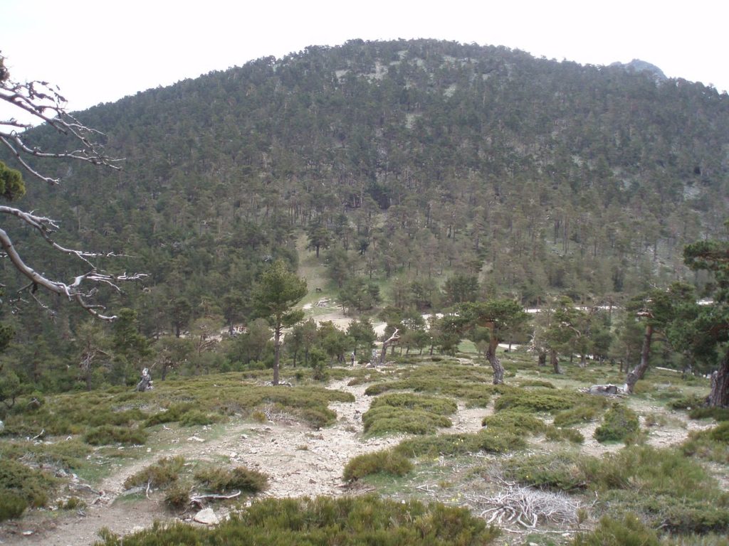 El Puerto de la Fuenfría (Sierra de Guadarrama, Madrid)