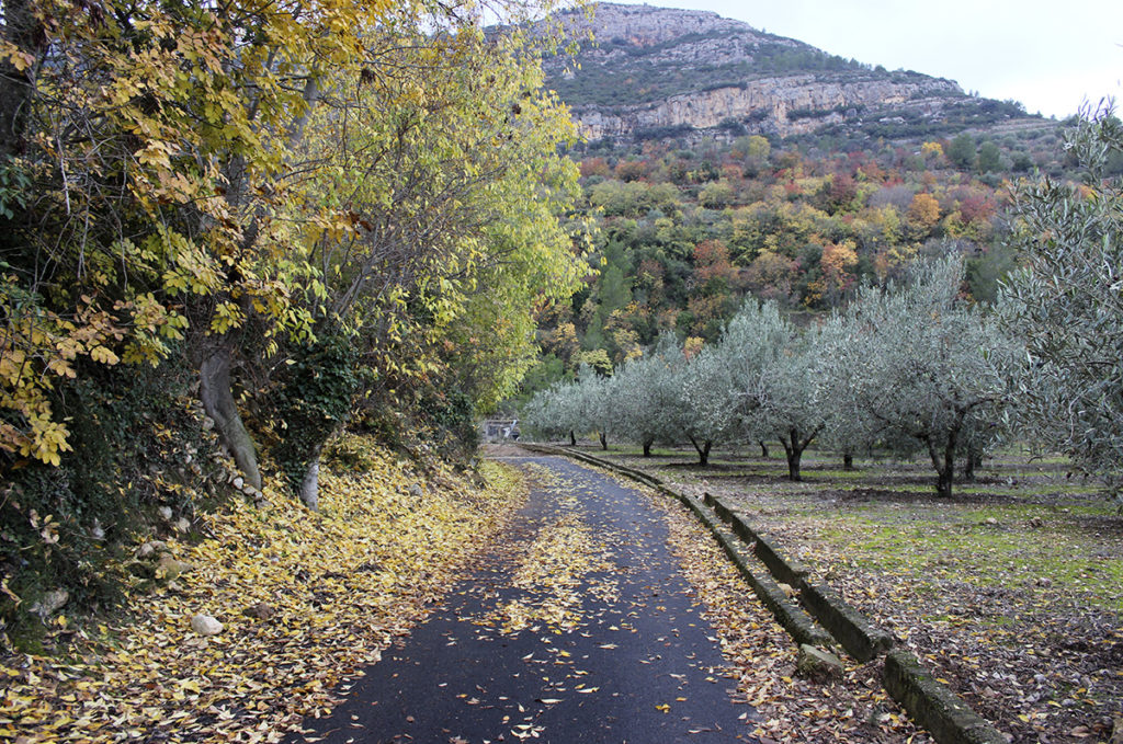 Vista de naturaleza en Cortes de Pallás