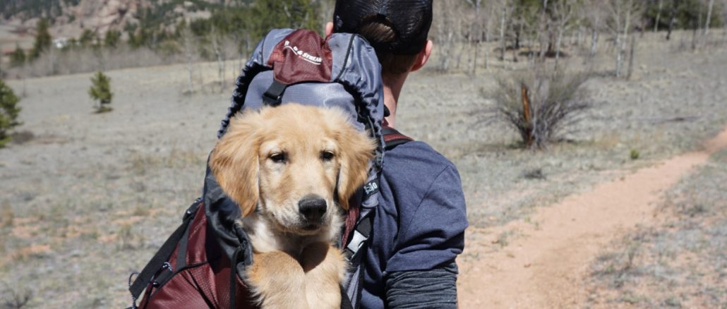 Senderista con perro