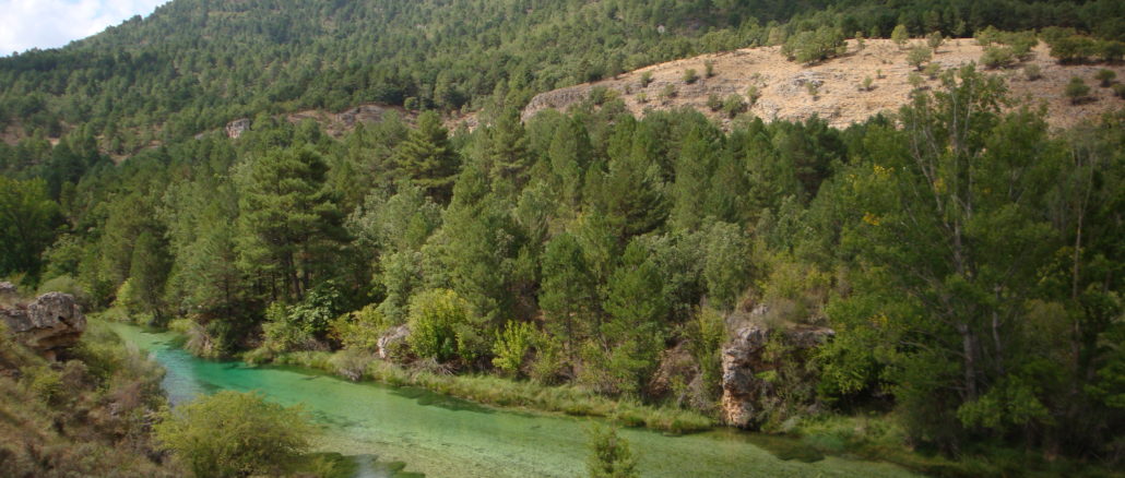 El río Tajo a su paso por Peralejos de las Truchas, en Guadalajara