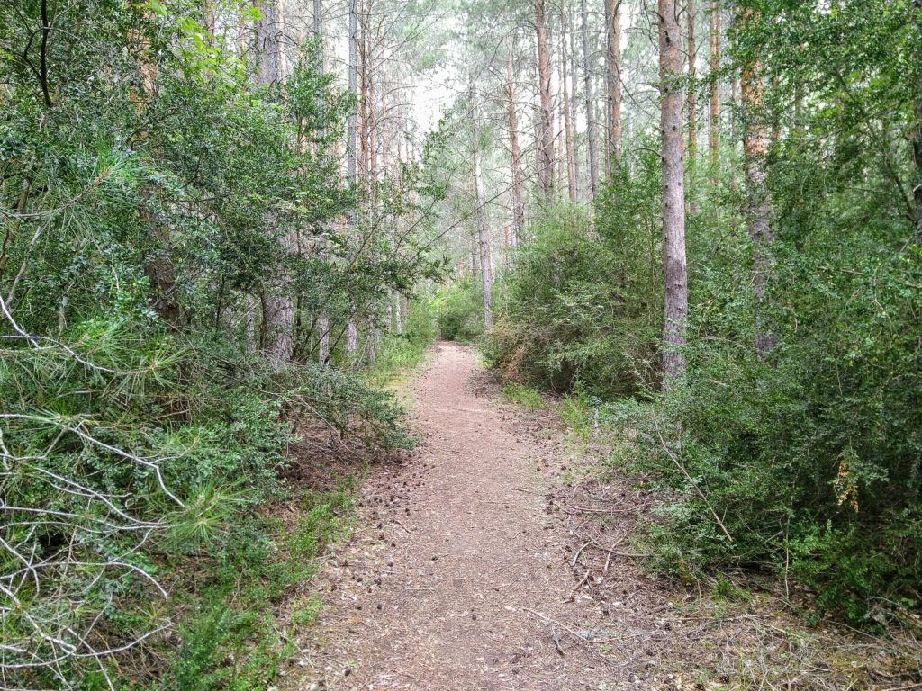 sendero Peralejos