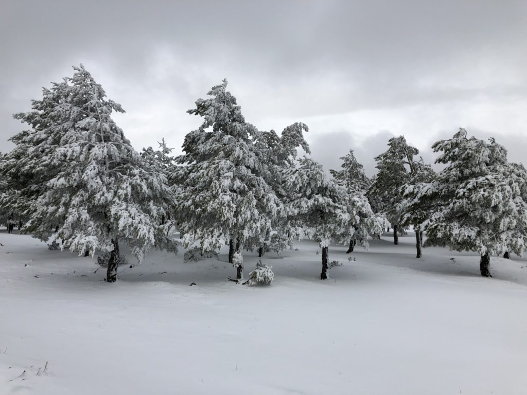 Nieve junto a la Casa del Ocejón (Majaelrayo, Guadalajara)