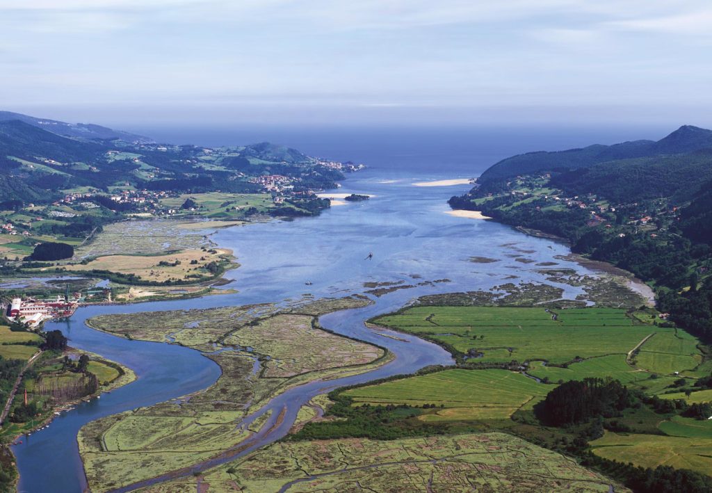 Reserva de Urdaibai (Vizcaya)