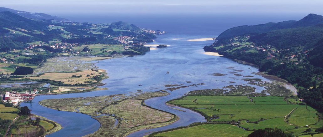 Reserva de Urdaibai (Vizcaya)