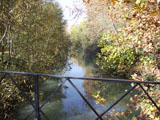 Puente sobre el río Tajo (Aranjuez)