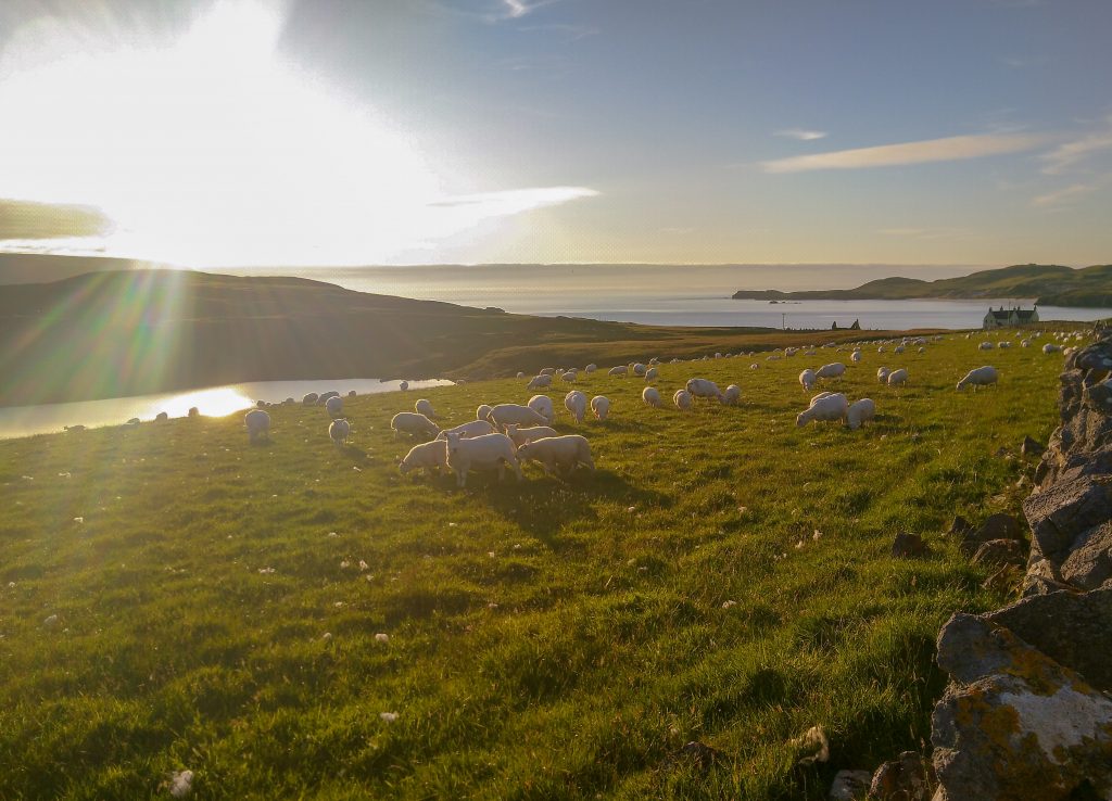 balnakil beach