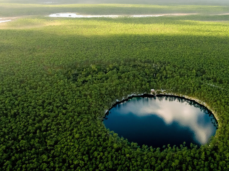 Selva, ríos y lagos en las Islas Bahamas