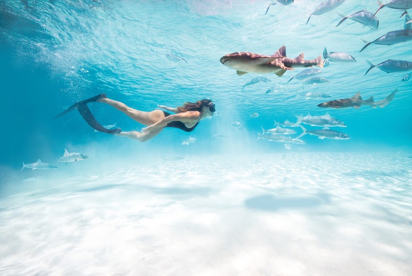 Buceo con tiburones en Bahamas