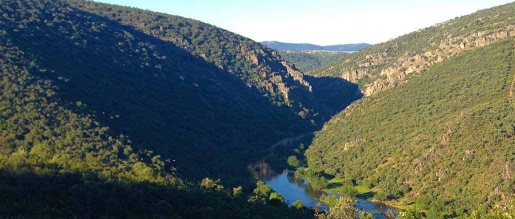 Estrecho de las Hoces (Entreparques, Ciudad Real)