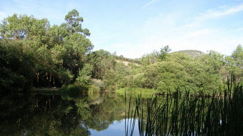 Lo mejor de Entreparques, pueblos desconocidos, bellos y misteriosos de Ciudad Real 8 Río Bullaque (Entreparques, Ciudad Real)