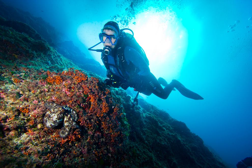 1 A INMERSIONES Buceo 01 Nicky2020imagendeGavinAnderson