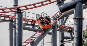 Tarántula, Parque de Atracciones