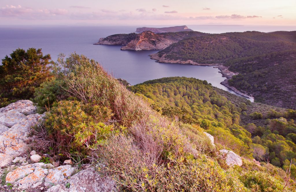 Parc nacional maritimoterrestre de lArxipelag de Cabrera med Sebastia Torrens AETIB 5