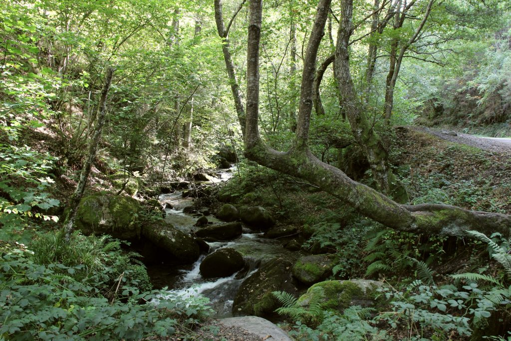 Valle del Silencio (León)