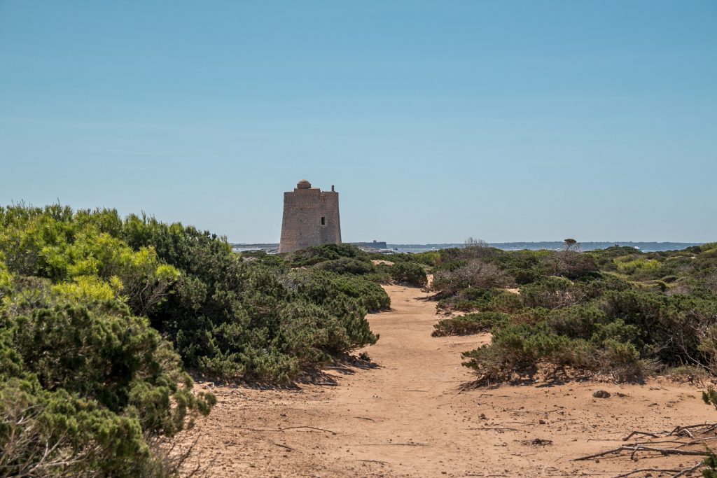 28. Torre de Ses Portes IMG 4206