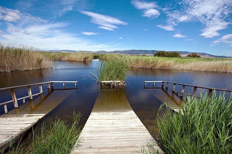 Embarcadero en Las Tablas de Daimiel