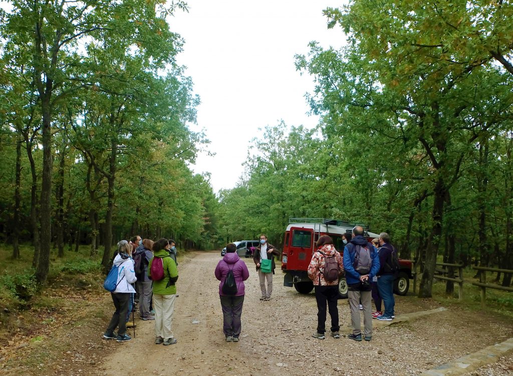 7 rutas por el Moncayo donde no te encontrarás con nadie (las hay para todos los gustos) 12 Moncayo visita guiada Land rover