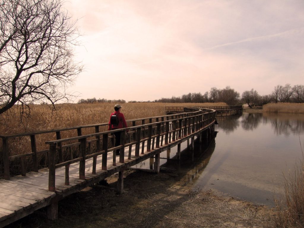 Parque Nacional de Las Tablas de Daimiel (Ciudad Real)