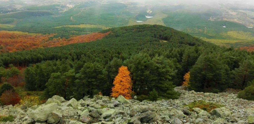 Vistas del Moncayo