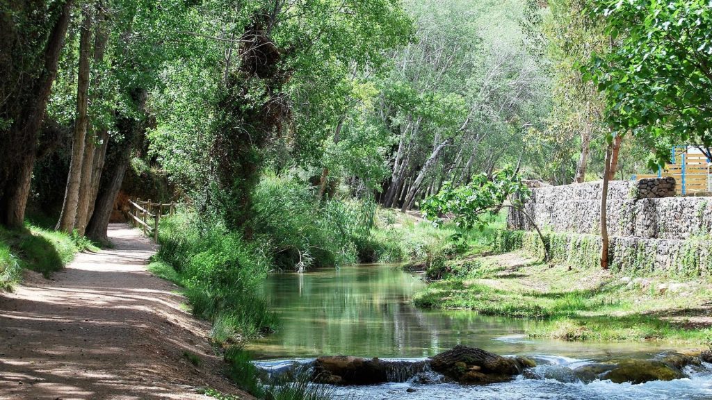 chelva naturaleza copia