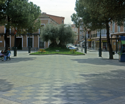 Daimiel (Ciudad Real)